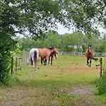 Silver Garden Bed & Breakfast 3*