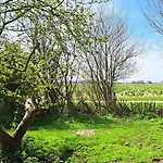 Silver Garden Bed & Breakfast