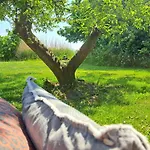 Bed & Breakfast Silver Garden 3*