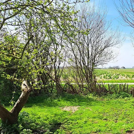 Silver Garden Couette-café