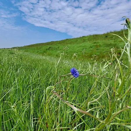 Silver Garden Oosterend (Texel)