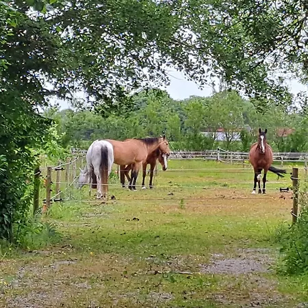 Silver Garden Bed & Breakfast 3*