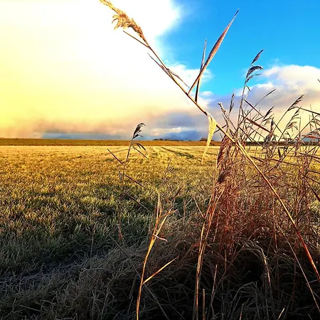 Couette-café Silver Garden