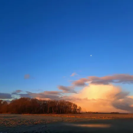 Couette-café Silver Garden 3*