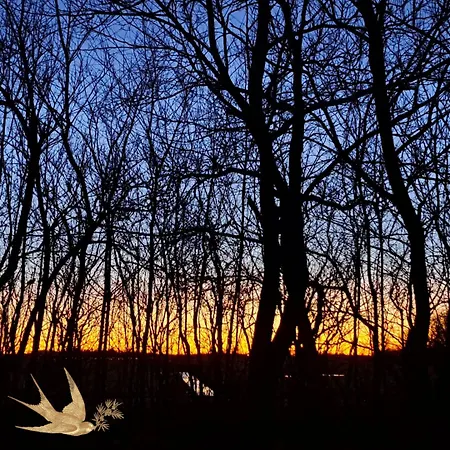 Silver Garden Bed & Breakfast Oosterend (Texel)