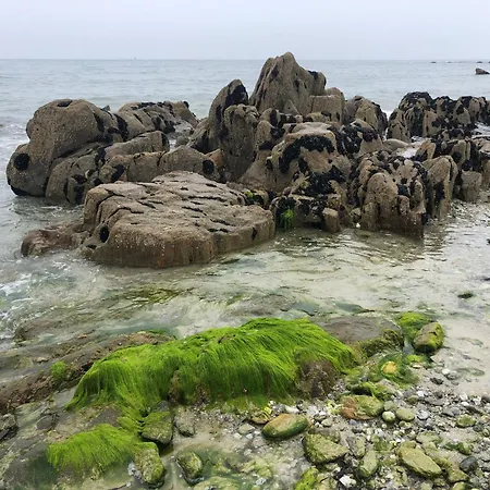 Bed & Breakfast Silver Garden