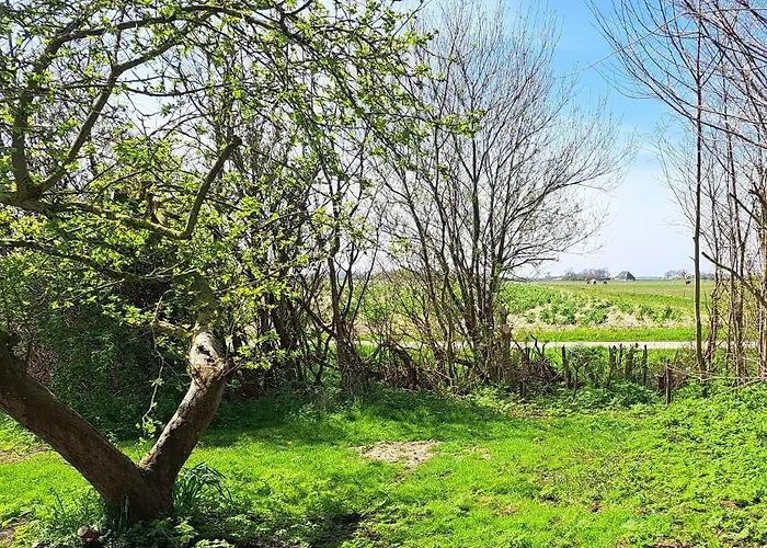 Silver Garden Couette-café