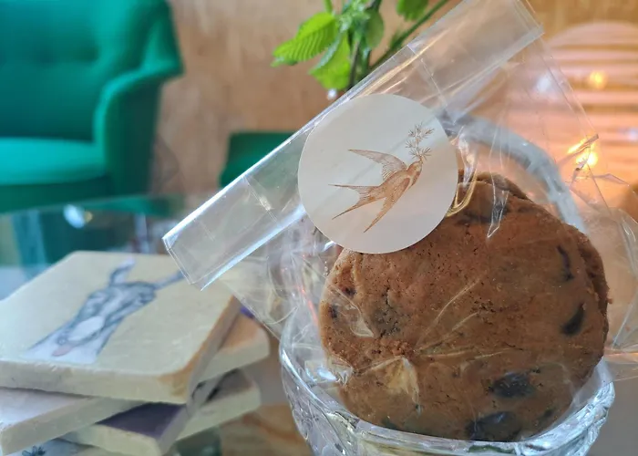 Couette-café Silver Garden Oosterend (Texel)