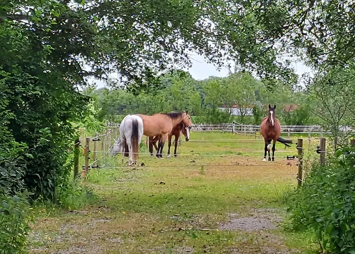 Silver Garden Couette-café 3*