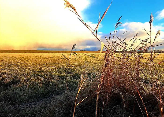 Couette-café Silver Garden
