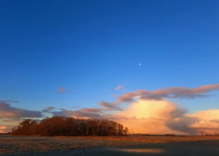 Couette-café Silver Garden 3*