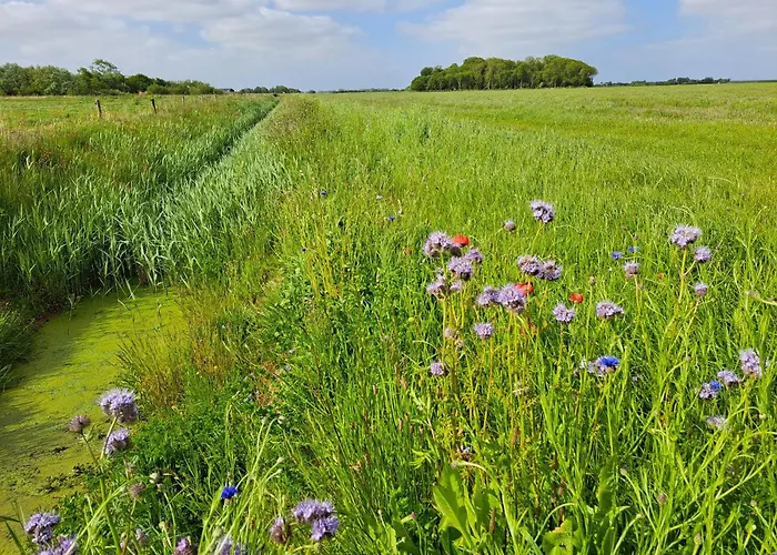 Silver Garden Couette-café