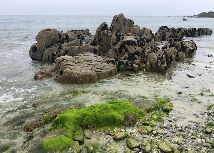 Couette-café Silver Garden