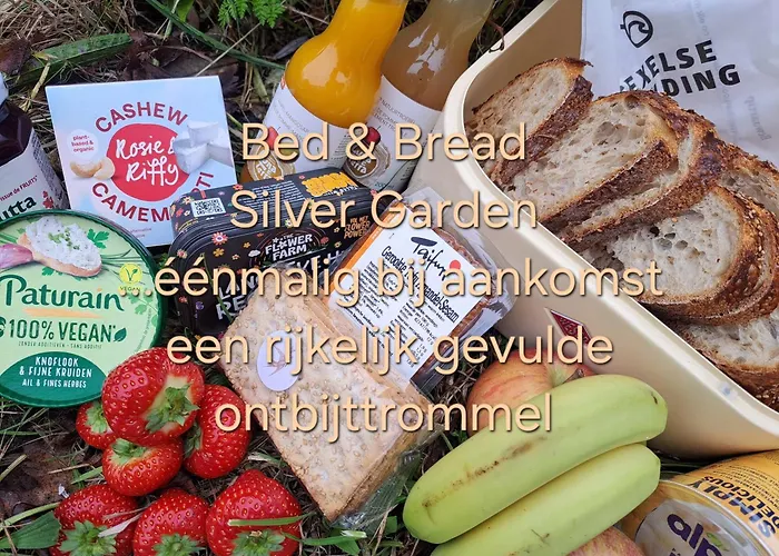 Silver Garden Couette-café 3*